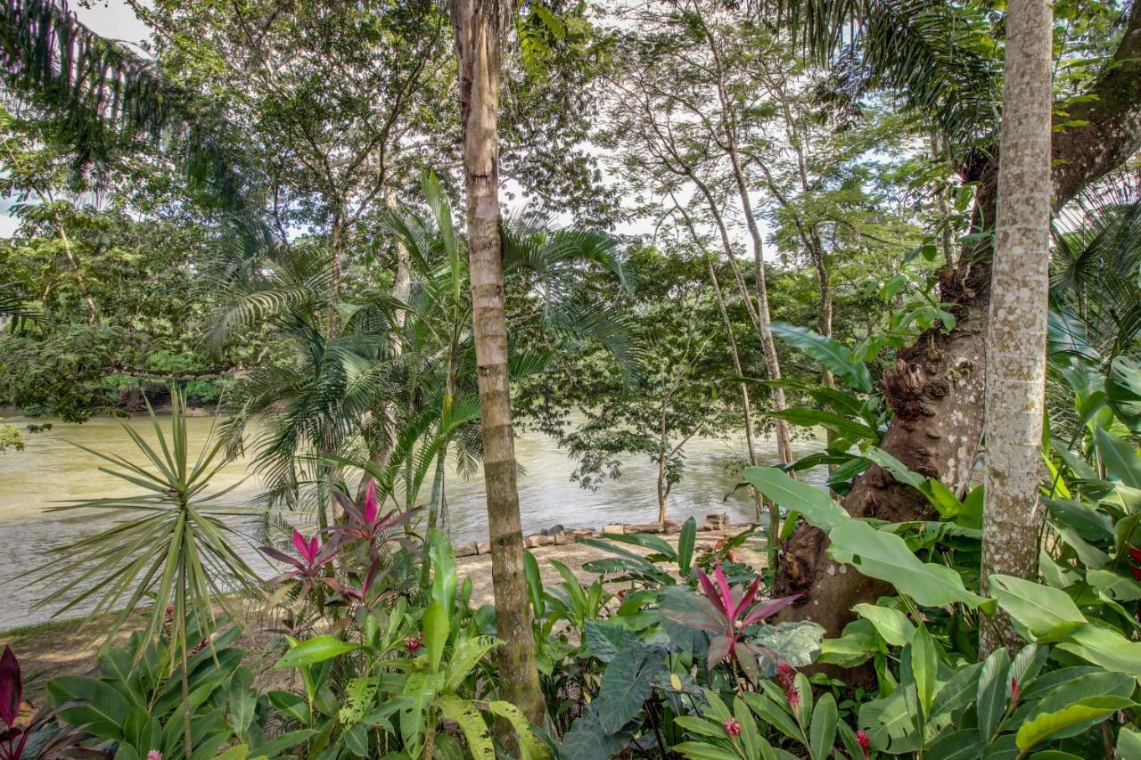 Mahogany Hall San Ignacio Εξωτερικό φωτογραφία